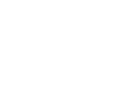 RICAAR3D Logo
